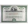 Image 1 : Coca-Cola Company, 2005 Specimen Stock Certificate