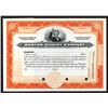 Image 1 : Munyon Remedy Co. 1900-1920 Specimen Stock Certificate.