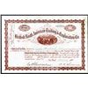 Image 1 : British North-American Trading & Exploration Co., 1898 Alaska-Yukon Related Stock.