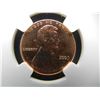 Image 9 : 2009 Lincoln Cent NGC MS66 RED Formative Years