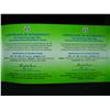 Image 7 : 1995 US Proof Set+ 1994 World Cup Collectors Set