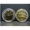 Image 2 : Copy's!! Clad 1933 Saint Gaudens and Early 1795 Gold Piece (Not Gold)