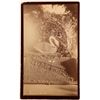 Image 1 : Cabinet Photo of Northern Cal Citrus Fair, Marysville, 1891  (111600)