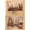 Image 1 : Two Mounted Photographs of Plumas County Lumber Camp  (115606)