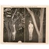 Image 1 : San Jose Lynching Photo  (117151)