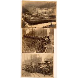 Lamoine Lumber Company Photos  (112072)