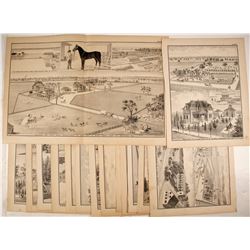 W. T. Galloway Yolo County Lithographs  (82456)