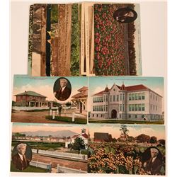 Luther Burbank Post Cards  (115191)