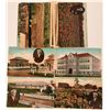 Image 1 : Luther Burbank Post Cards  (115191)