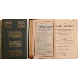 Bailey & Hair's Iowa State Gazetteer  (108485)
