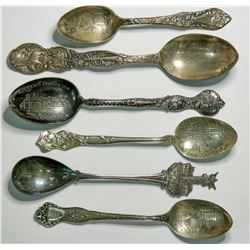 Souvenir Silver Spoon Collection  (114953)