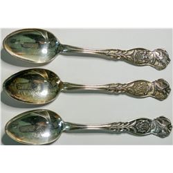 State Souvenir Silver Spoons  (114956)