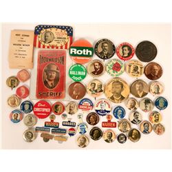 Political Pin Collection  (115589)