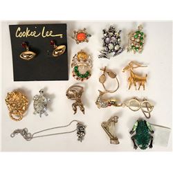15 Brooches  (114760)