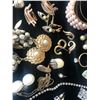 Image 9 : Designer Costume Jewelry Grab Bag   (110379)