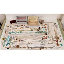 Huge Group of Costume Jewelry  (110454)