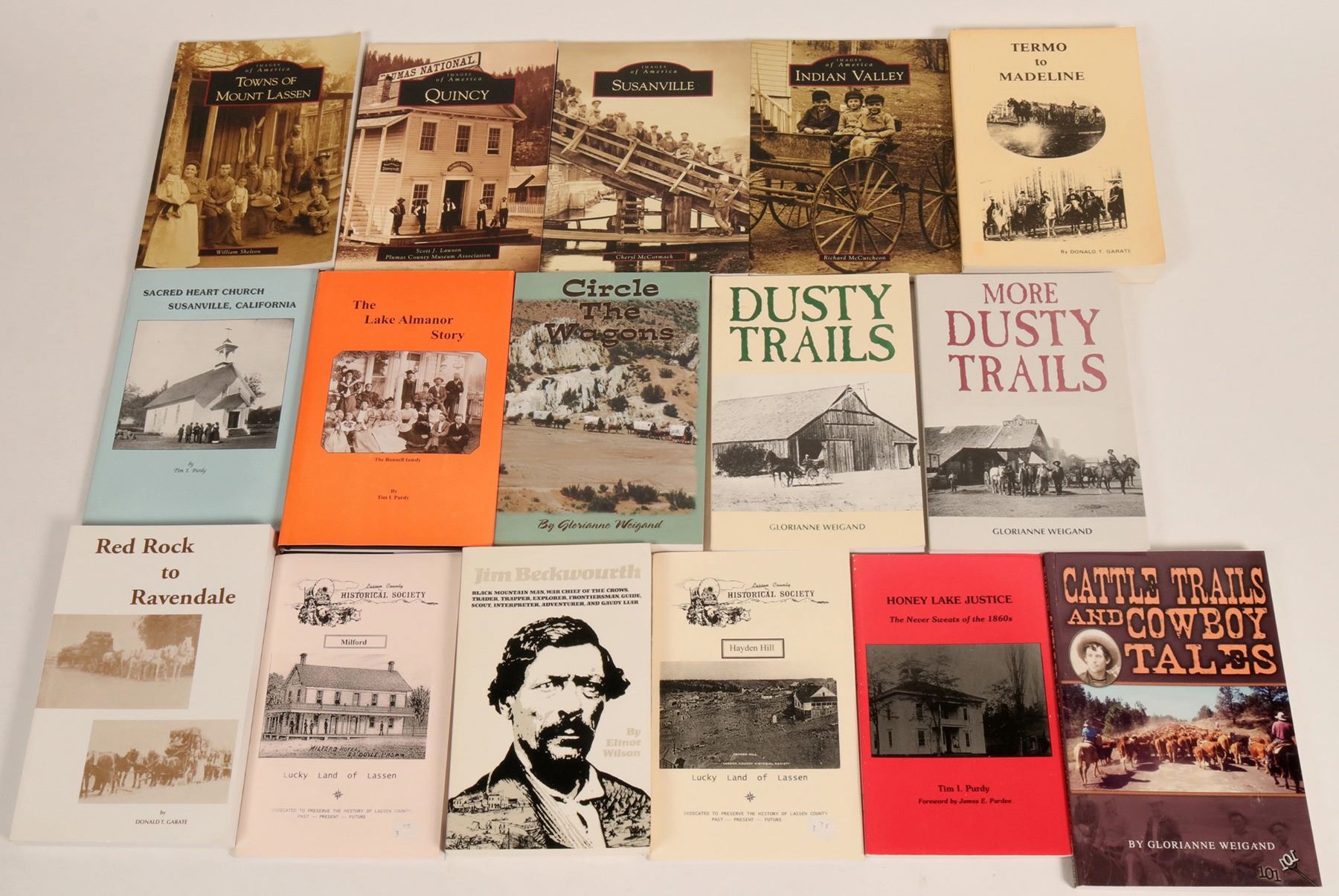 Lassen and Plumas County History Library (113112)
