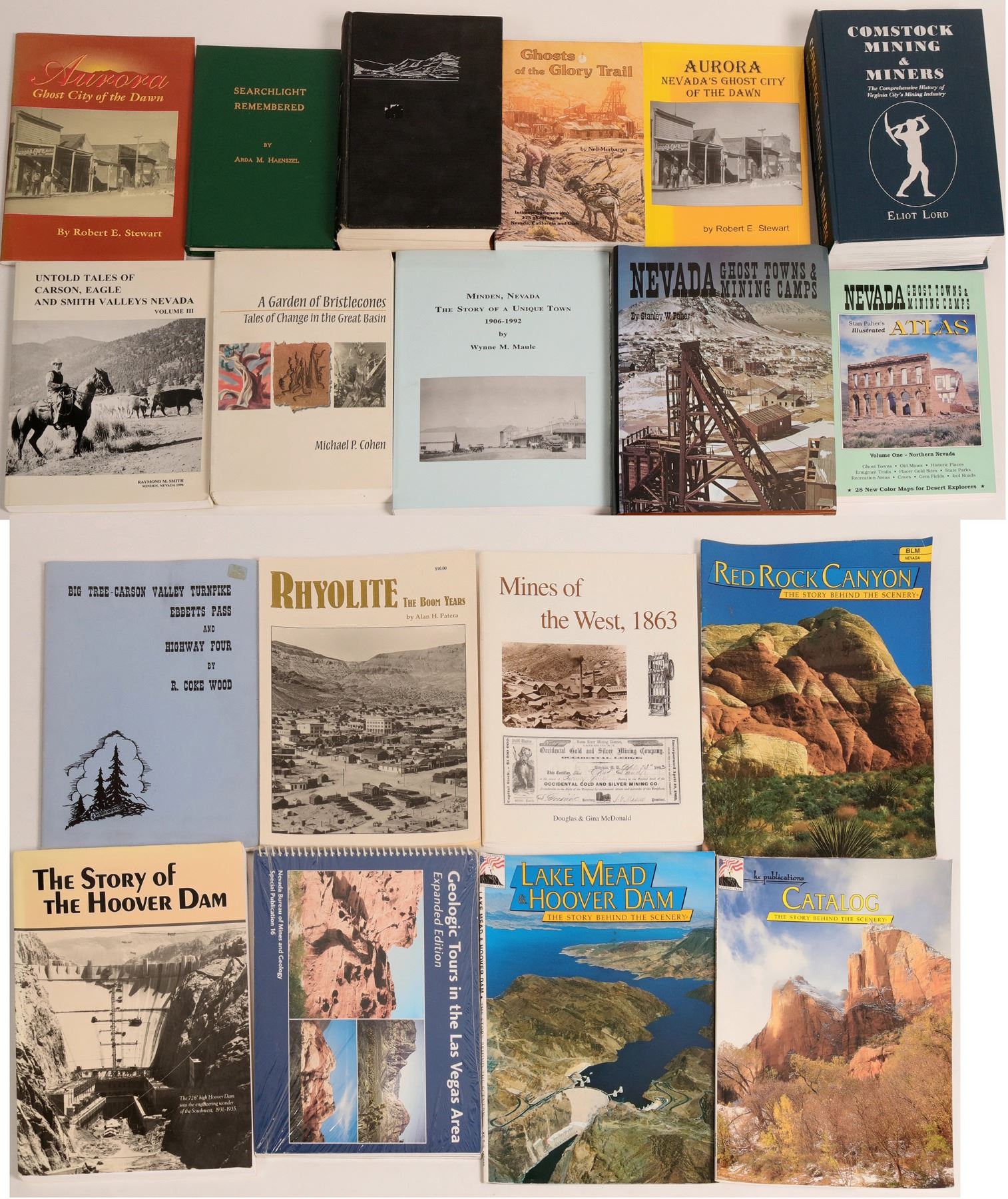 Nevada History Library (115240)