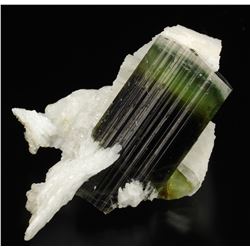 Elbaite from Pakistan  (53074)