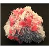 Image 1 : Rhodochrosite from Sweet Home Mine, Colorado  (53073)