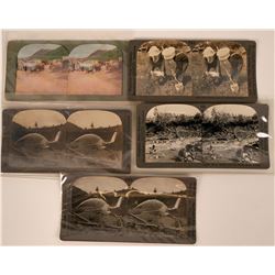 Stereoview Photos of gold mining   (115196)