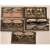 Image 1 : Stereoview Photos of gold mining   (115196)