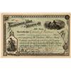 Image 1 : Tombstone Mill and Mining Company Stock Certificate  (116129)