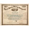 Image 1 : Specie Basis Mining Co. bond  (91027)
