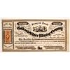 Image 1 : Strong & Nevada Gold and Silver Mining Co Stock  (83209)