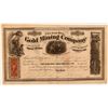 Image 1 : Oak Hill Gold Mining Company Stock Certificate  (107709)