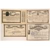 Image 1 : Colorado Mining Stock Group (Jocelyn, Grey Eagle, San Juan)  (116987)