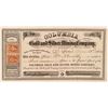 Image 1 : Columbia Gold and Silver MC Stock  (108204)