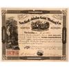 Image 1 : New York & Idaho Gold MC Stock, 1864  (110202)