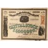 Image 1 : Atlantic & Pacific Gold & Silver Mining Company Stock  (91909)
