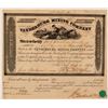 Image 1 : Vanderburg Mining Company Stock Certificate  (107708)