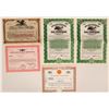 Image 1 : Collection of Airline certificates  (115866)