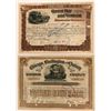 Image 1 : Illinois and Wisconsin RR stock  (114916)