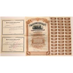 Illinois/Georgia RailRoad stock/bond  (114549)