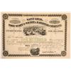 Image 1 : Saint Louis, Fort Scott & Wichita Railroad Co.  (114569)