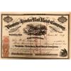 Image 1 : Virginia and Truckee Rail Road Co. Stock to Ralston (114909)