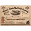 Image 1 : Virginia and Truckee Rail Road Co. Stock to DO Mills  (115804)