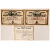 Image 1 : Two New York RR  (115852)