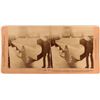 Image 1 : Pan. American Exposition Stereoview of Breech Loader  (113159)