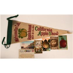 1911 Apple Show Postcards & Pennant  (115557)