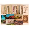 Image 1 : Large Group of Novelty Postcards  (116758)