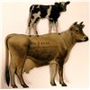 Image 1 : Two Cow Metal Storecards, Very Rare  (111613)