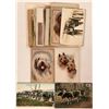 Image 1 : 23 Animal Postcards Includes A Tuck Card by Louis Wain + Two Signed Ernest H. Mills  (111569)