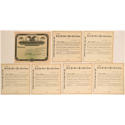 New York/Indiana RR stock  (115819)