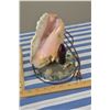 Image 2 : Seashell Light and 2 Display Lights
