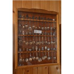 Lot of Collector Spoons (36) w/ Case